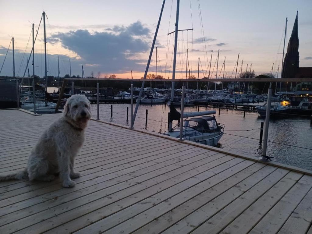 Hausboot Gluecksmomente Mit Dachterrasse In Schleswig Am Ostseefjord Schlei Exteriér fotografie